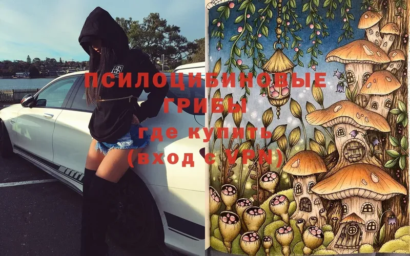 Псилоцибиновые грибы Magic Shrooms Кропоткин